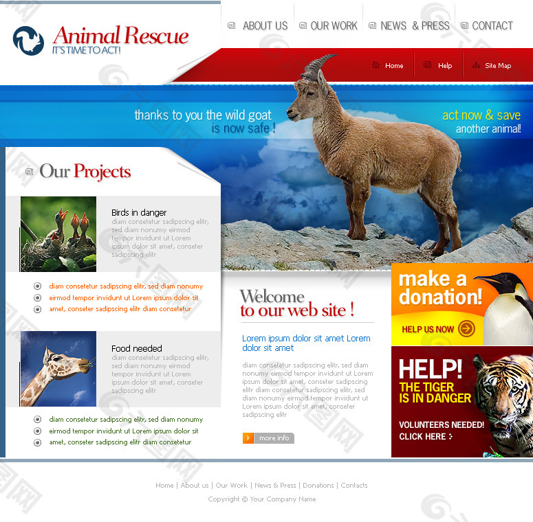 野生动物园网页psd模板