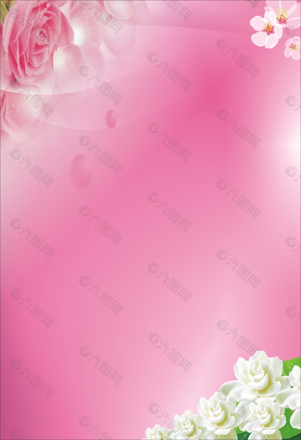 玫瑰花粉色背景图
