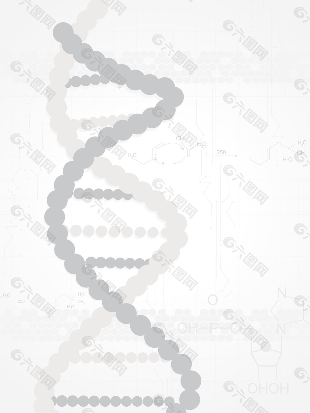 背景与DNA