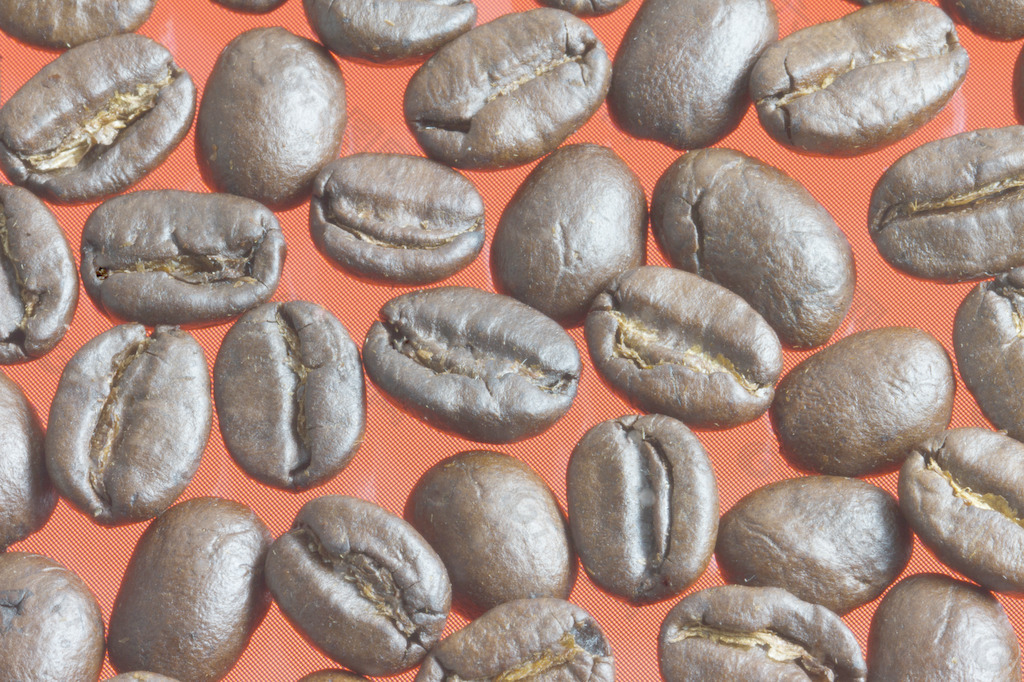 招聘咖啡豆