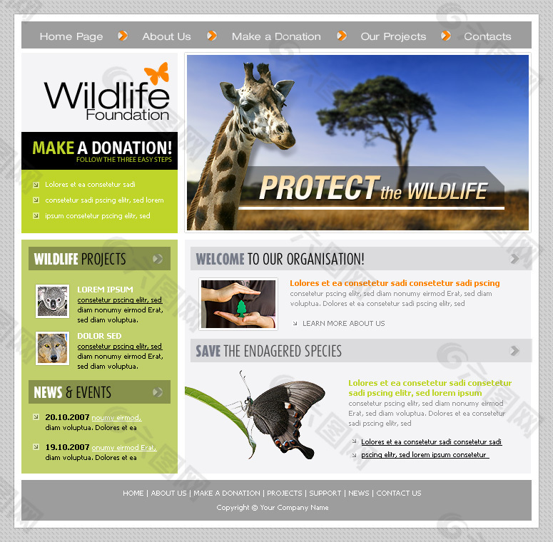 野生动植物网站psd模板