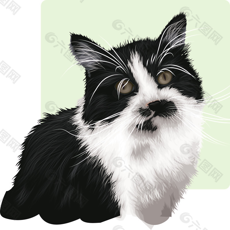 猫的剪辑艺术