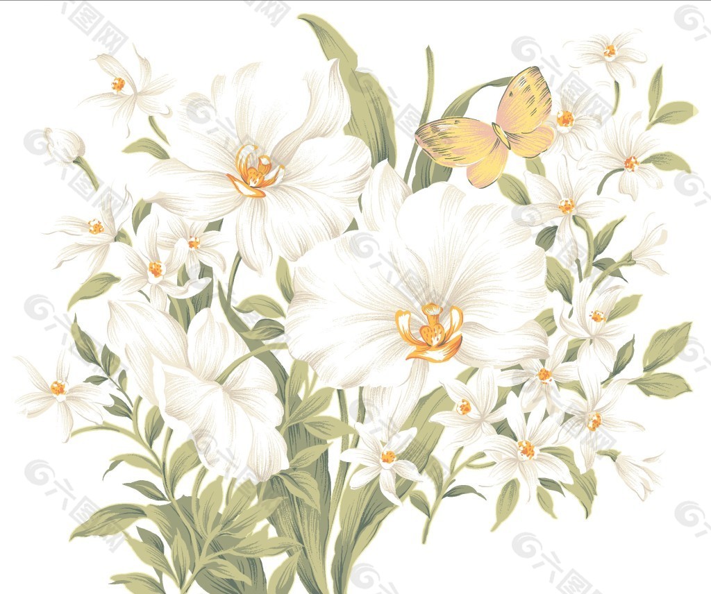 白色花图片 白色花素材 白色花模板免费下载 六图网