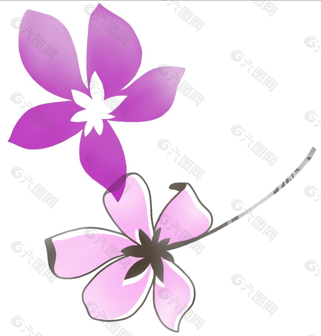 紫花朵朵开