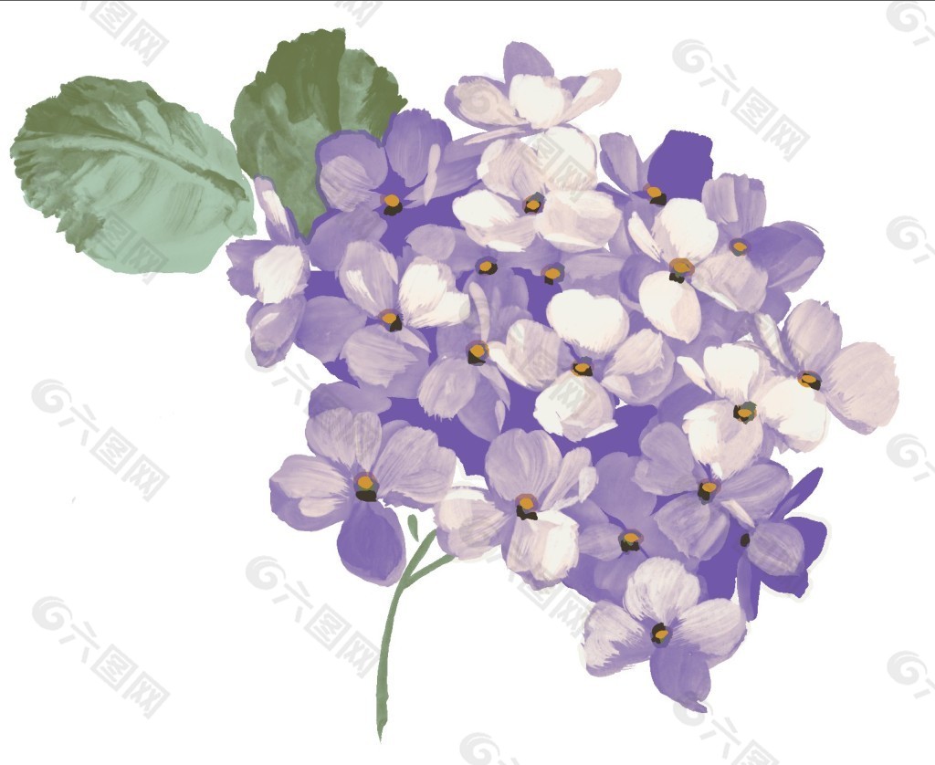 紫色花手绘图图片 紫色花手绘图素材 紫色花手绘图模板免费下载 六图网