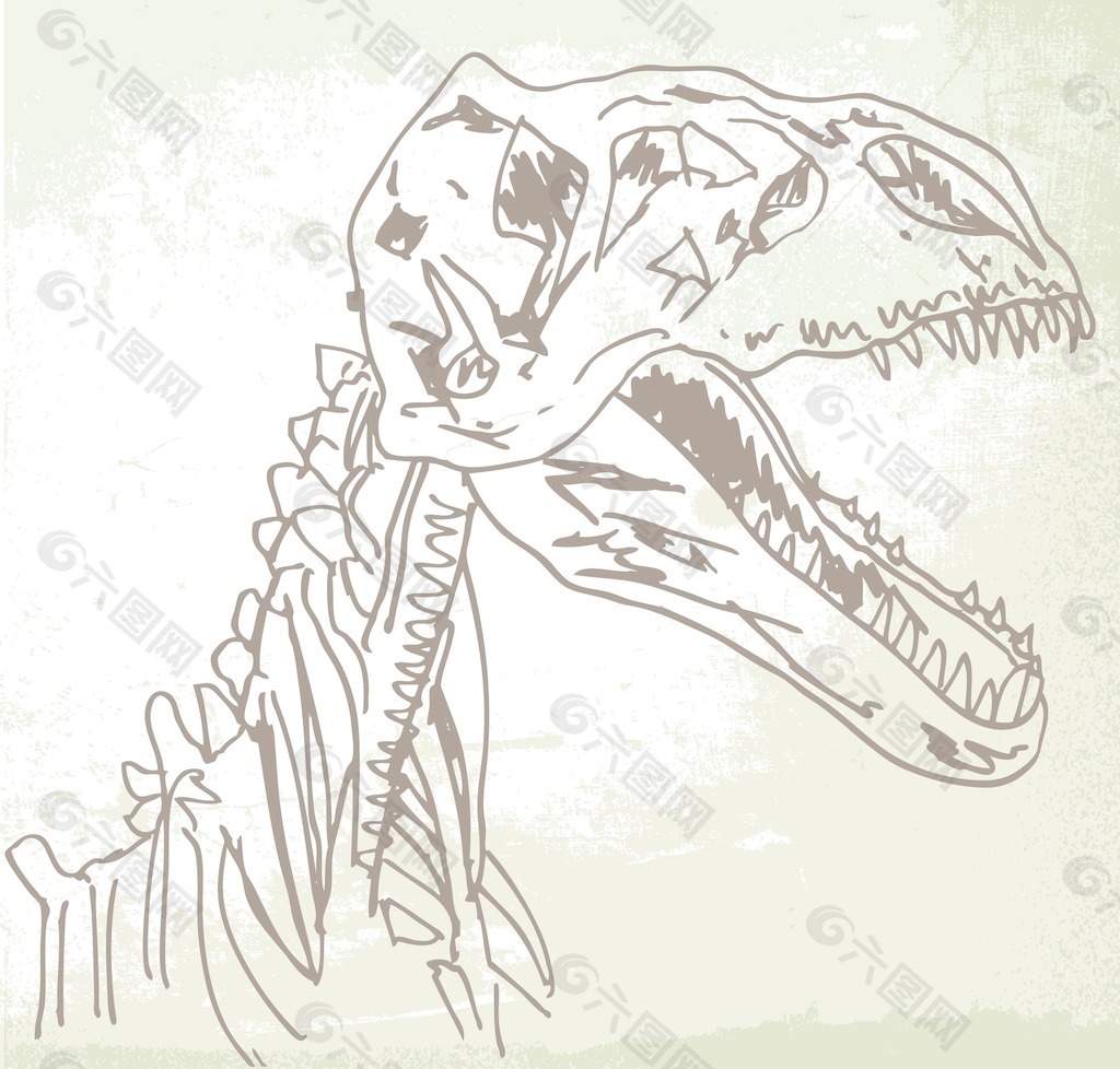 恐龙化石插画矢量图