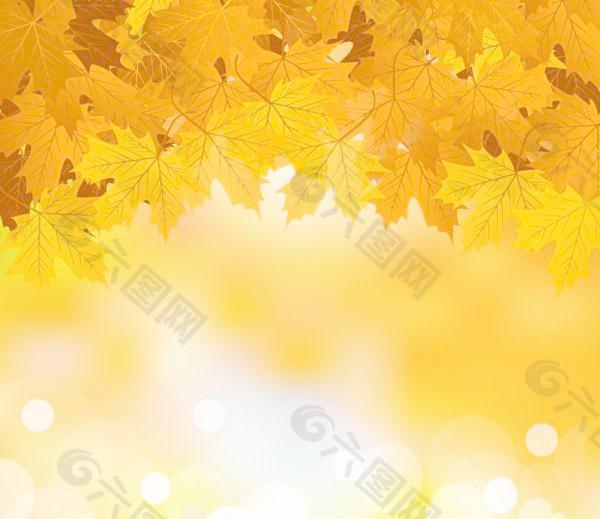 金色枫叶背景矢量素材1