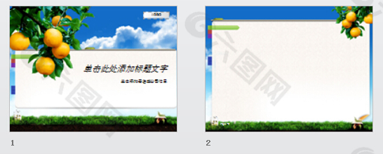 成熟橘子挂满枝头PPT模板