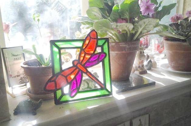 蜻蜓的彩色玻璃