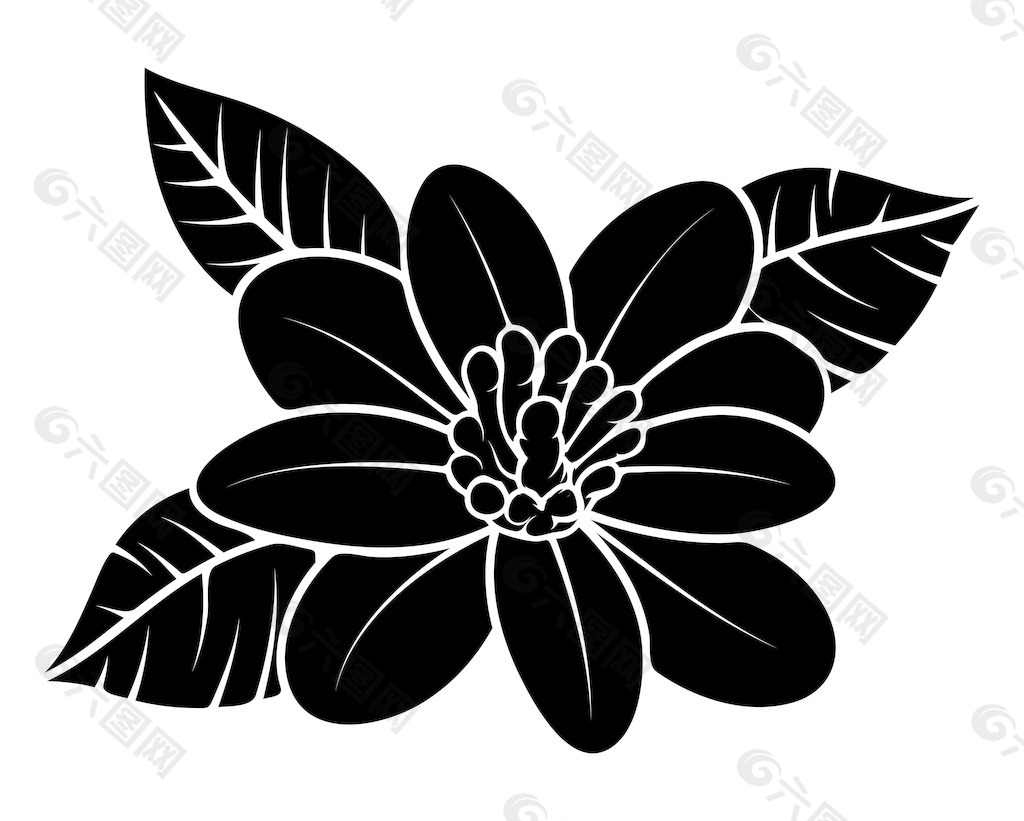 黑色形状的野生花卉设计