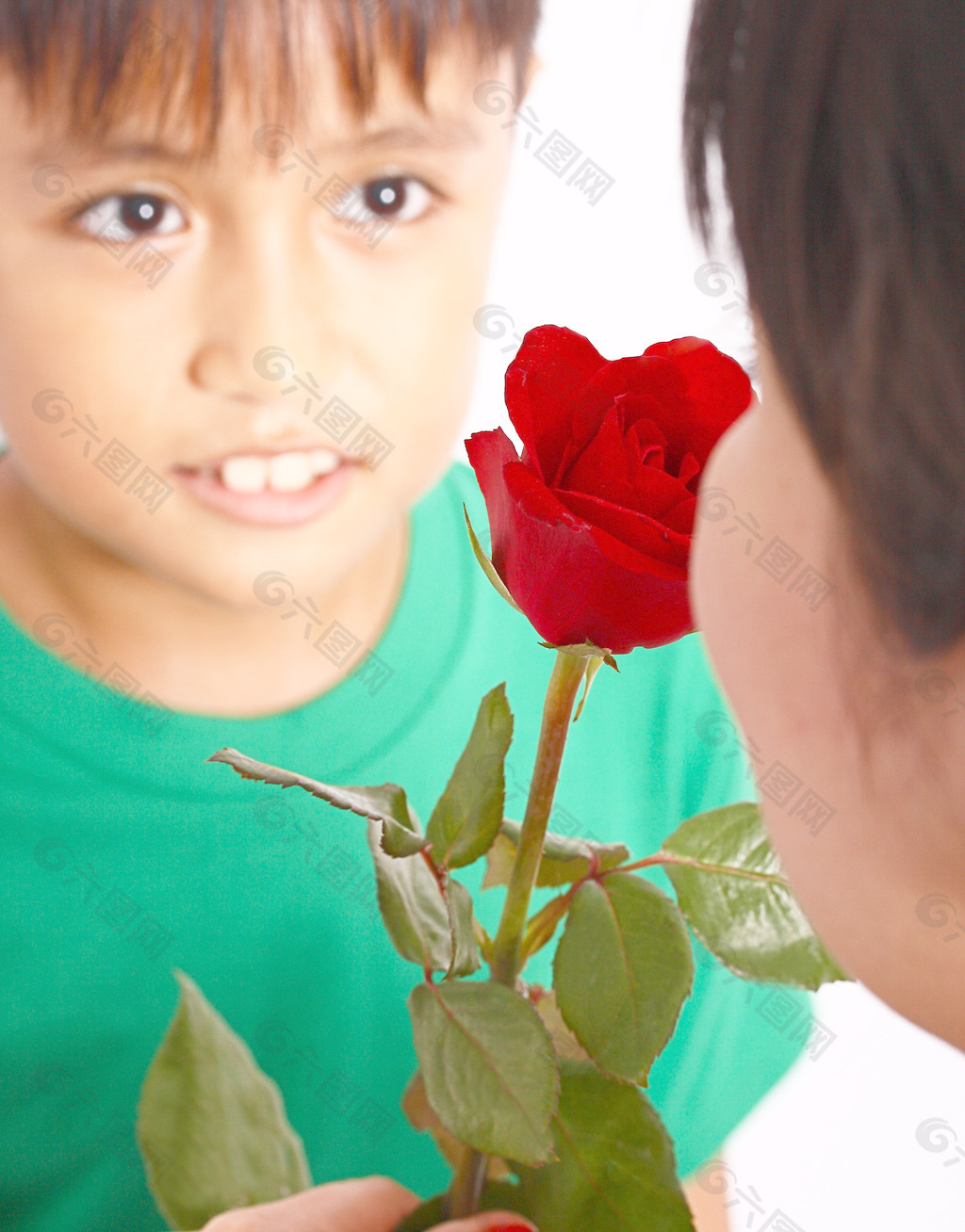男孩给他的母亲的玫瑰