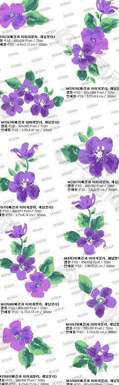 水彩效果花卉-紫罗兰PSD分层素材