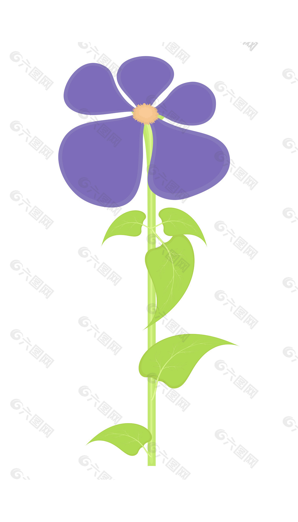 紫雏菊设计