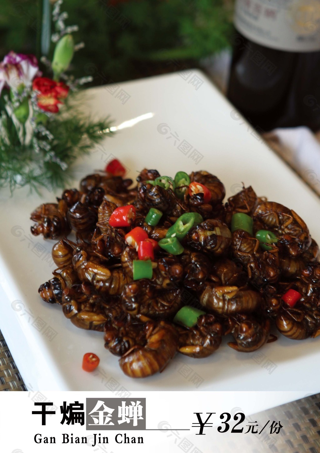 高清美食餐饮金蝉