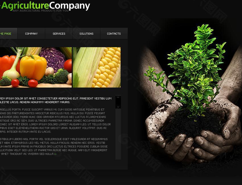 绿色农业网站动画模板