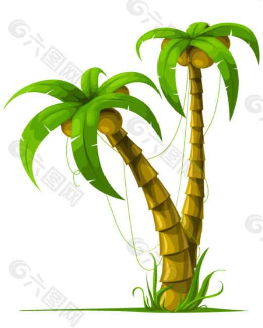 植物椰子树