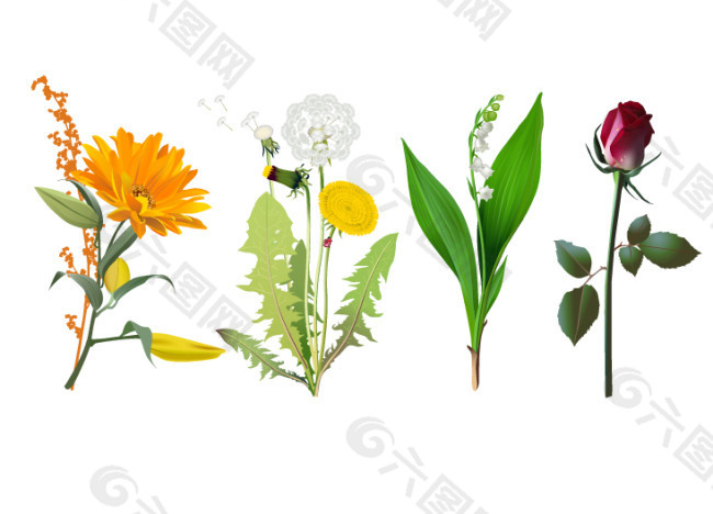 四种花卉图