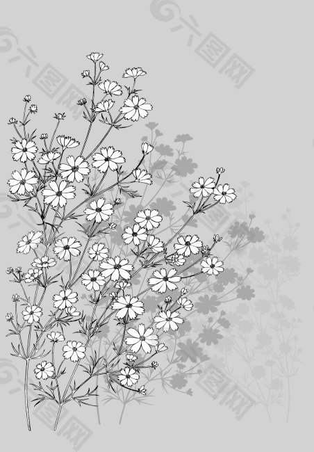 花卉花朵白描