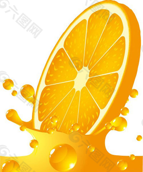 矢量素材橙子