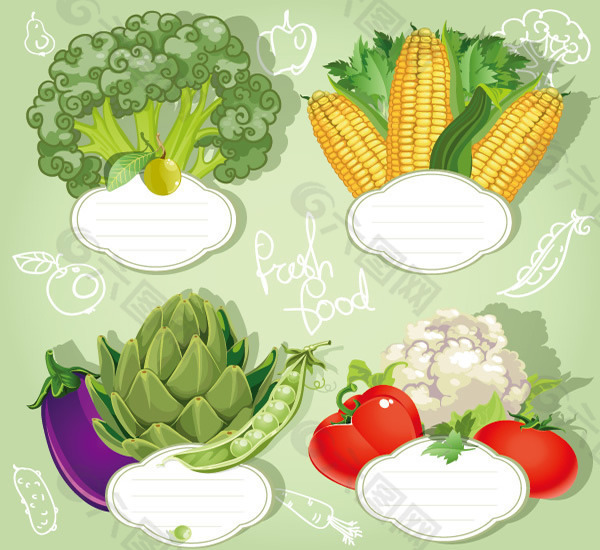 蔬菜标签矢量图