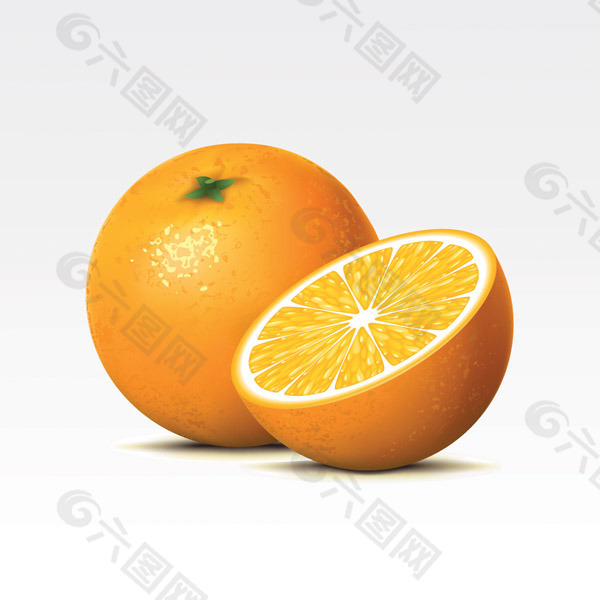 矢量新鲜橙子水果素材图片