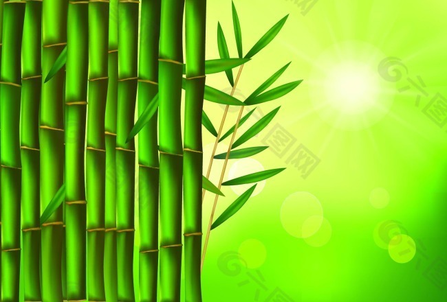 青翠挺拔绿色竹子矢量素材