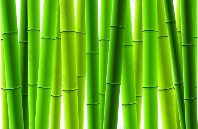 矢量翠绿竹子图片素材