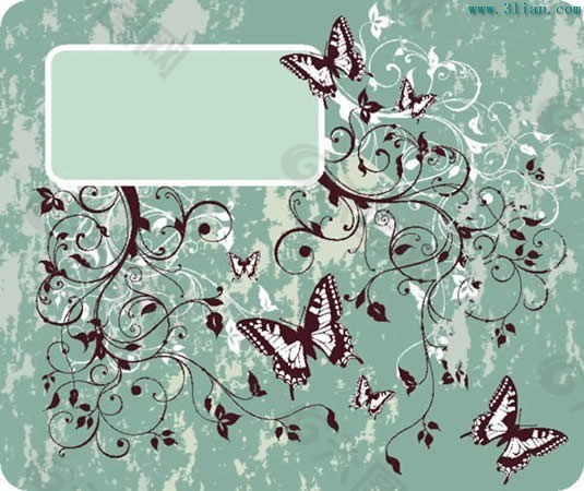 花纹蝴蝶与边框