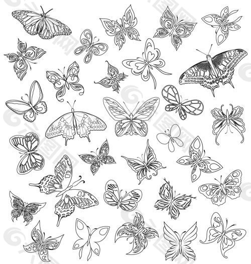 多种蝴蝶