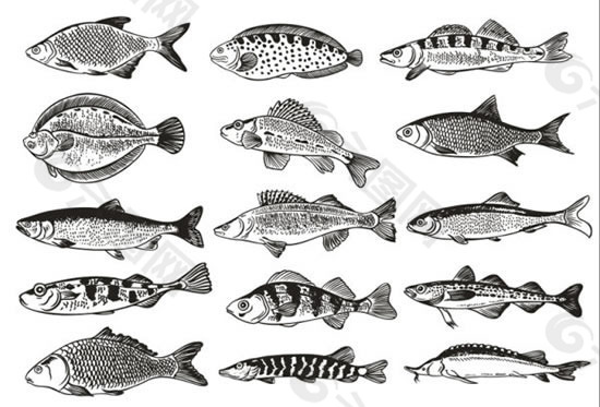 鱼单色图案