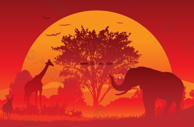夕阳下的大象长颈鹿
