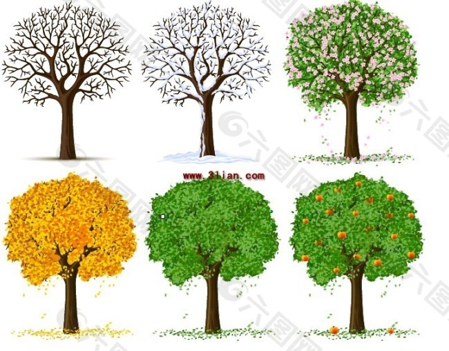 春夏秋冬四季树木平面广告素材免费下载 图片编号 六图网