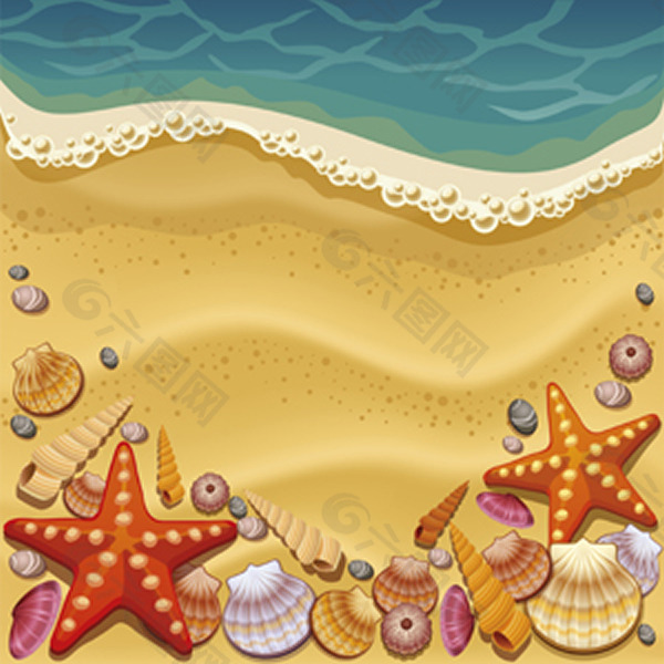 沙滩海星贝壳