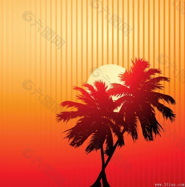 夕阳下椰树