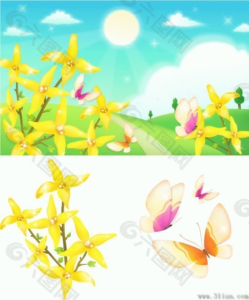 花卉,蝴蝶,风景