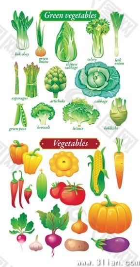 瓜果蔬菜