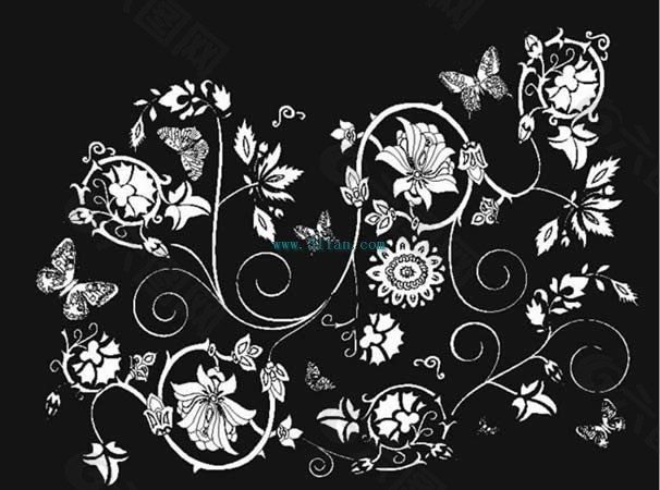矢量黑白花卉线纹