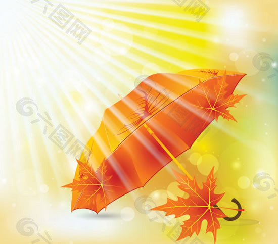 精美橙色枫叶雨伞