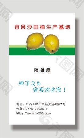 沙田柚生产基地名片模板