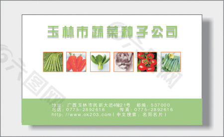 蔬菜种子公司名片模板