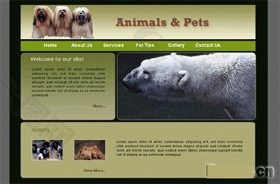 动物主题网站模板