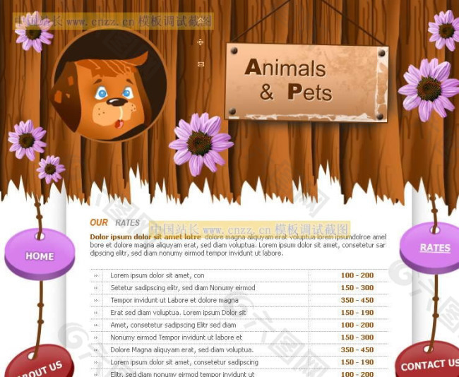 动物宠物网站模板