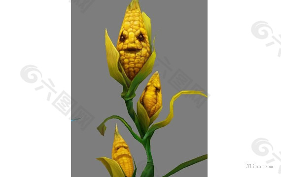 3D玉米模型