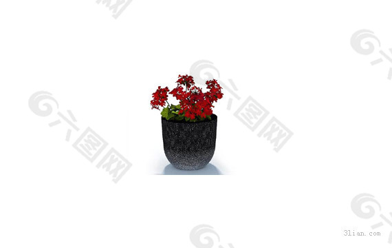 3D花卉植物模型