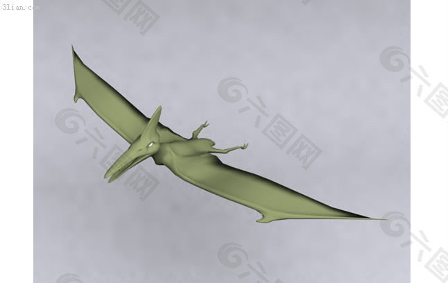 翼龙3D模型