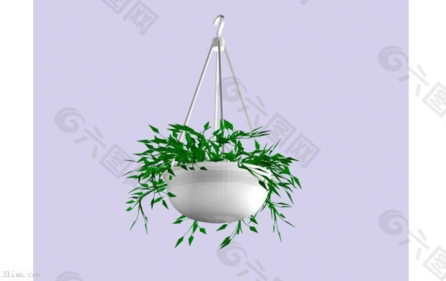吊兰植物3D模型