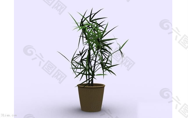 室内植物3D模型
