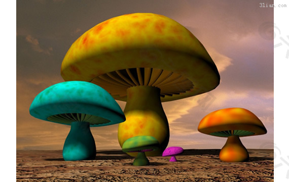 3D蘑菇模型