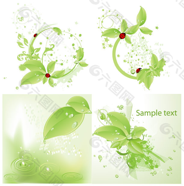 4款绿叶瓢虫水珠矢量图