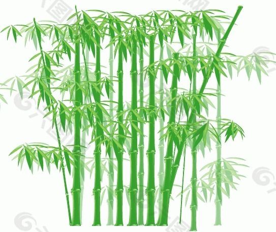 竹林图图片 竹林图素材 竹林图模板免费下载 六图网
